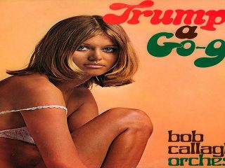 BOB CALLAGHAN ORCHESTRA — Trumpet A Go-Go, 1970